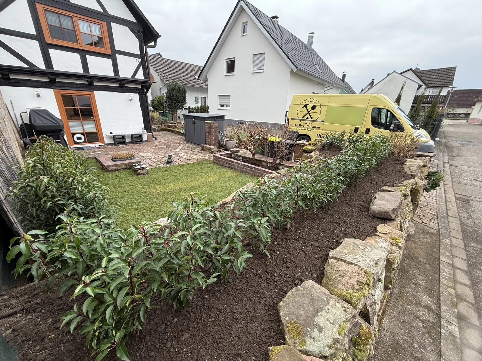 Neu gepflanzte Hecke an einer Natursteinmauer neben frisch verlegtem Rollrasen