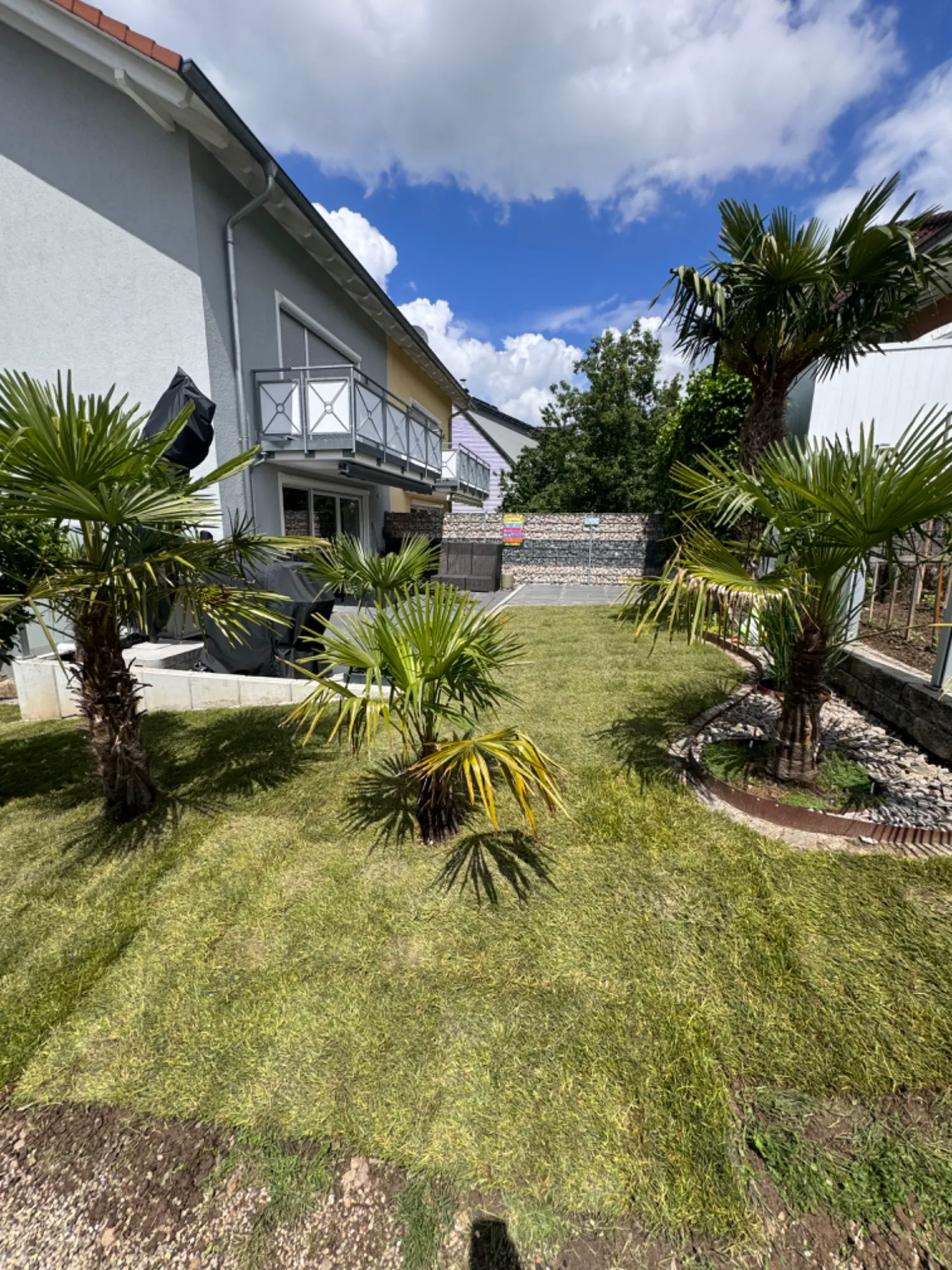 Gartenanlage mit Rasen, Palmen und Pflanzinseln