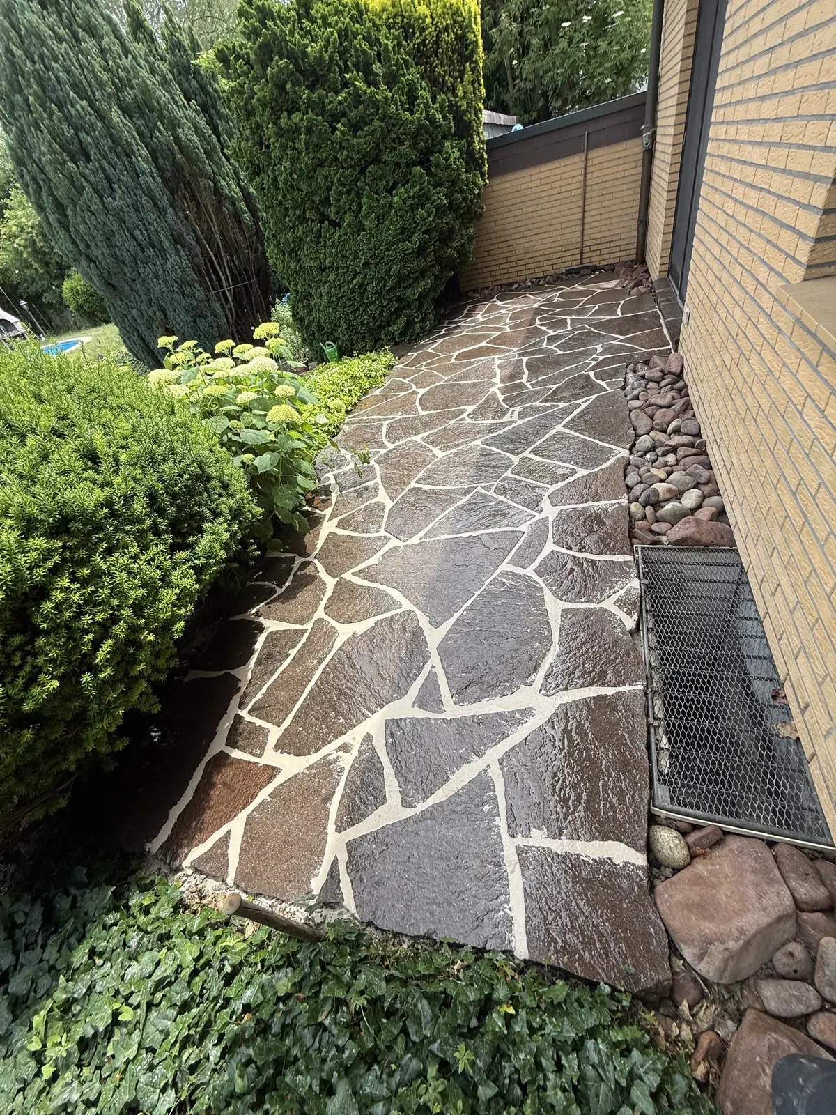 Gartenweg aus verfugten Polygonalplatten zwischen Hecken und Hortensien